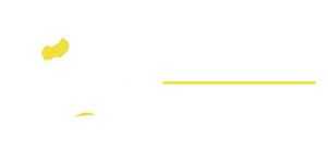 dodo airlines logo